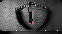 Rogue Fitness Rogue Multi Belt -Rogue Shop RS1010 WEB4 jkdqzb