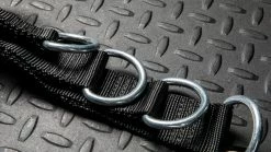 Rogue Fitness Rogue Multi Belt -Rogue Shop RS1010 WEB5 zt1z5e