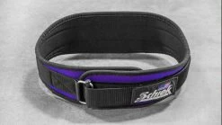 Schiek 2004 Lifting Belt -Rogue Shop SCK0006 web2 gt9vtg