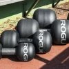 Rogue Fitness Monster Bells