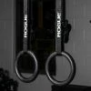 Rogue Fitness Rogue Echo Rings