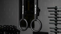 Rogue Fitness Rogue Echo Rings