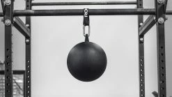 Rogue Fitness Rogue 12" Pull-up Globe