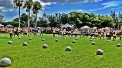 Hybrid Stone Molds -Rogue Shop XX874 web3 bgkjqg